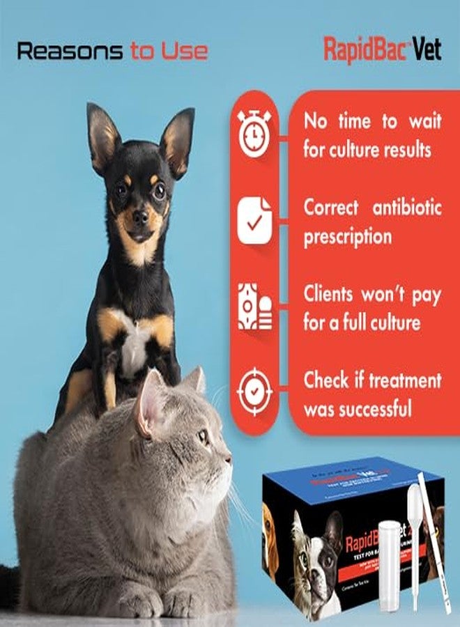 WaterSafe RapidBac™ Vet – 15-Minute at-Home Urine Test for Dogs and Cats to Quickly Screen for UTI Causing Bacteria, 1 Pack - Image 4